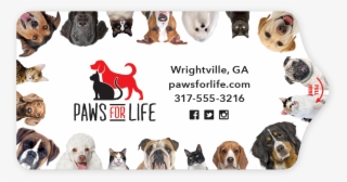 Dog And Cat Border Thumbnail - Cat #5675940