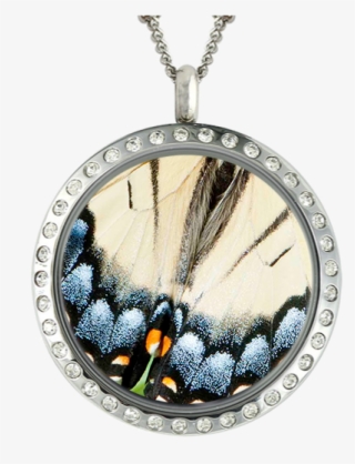 Butterfly Wing Blue & White In Locket #5676607