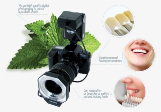 We Believe That Natural Light Is The Best Way To Take - Marumi Drf-14 S Ttl Macro Ring Flash For Sony #5676758