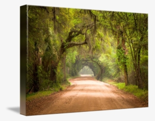 "charleston Sc Edisto Island Dirt Road" By Dave Allen - Rite Of Passage - Cd #5680135
