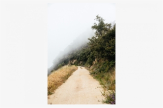 Up Beaudry - Dirt Road #5680841