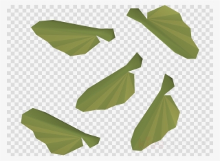 Banana Leaf Clipart Bigleaf Maple Old School Runescape - Maple #5681032