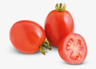 Aztec What Did The Mayans Eat Dk - Did The Mayans Eat #5681110