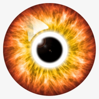 Training - Pupil #5683449