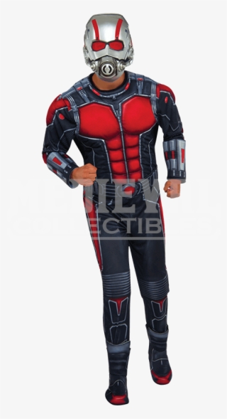 Antman And The Wasp Costumes Adult #5685833