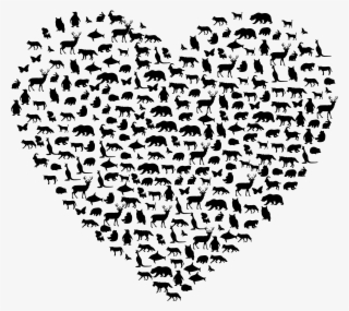 Big Image - Animals Heart #5685839