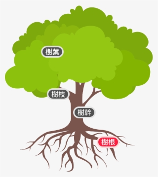 基本素養及未來競爭力的培養 - James Madison University Biology Logo #5688651