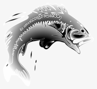 Jumping Fish Clip Art Transparent #5689410