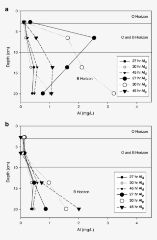 A Al D And Al P Concentrations Along The Depth Of Column - Diagram #5689531