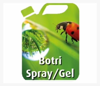 Botri Spray & Gel Can #5689828