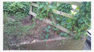 Broken Fence And Handrail #5690248