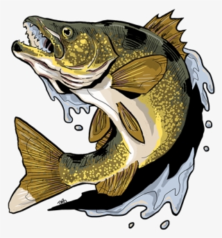 Walleye Design - Ray-finned Fish #5691876