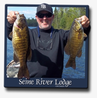 Nestled In The Heart Of Sunset Country In Northwestern - Smallmouth Bass #5692048