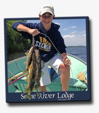 Walleye, Smallmouth Bass, Pike & Lake Trout Fishing - Pull Fish Out Of Water #5692509