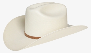 Sinaloense 500x Sombrero - Stetson 10x #5692960