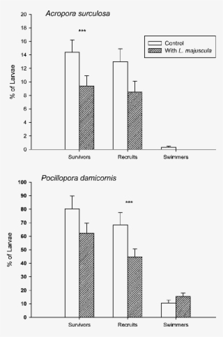 Fate Of Coral Larvae Subjected To Treatment ( Lyngbya - Diagram #5692962