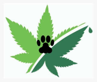 Hemp Leaf Design With Paw Print - Design #5694832