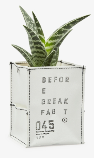 Tumblr Pineapple Png #5695240