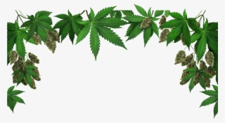 Home Admin 2018 07 29t23 - Marijuana: The Gateway To Abundance [book] #5696762