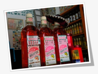 Mosquitos - Toluca - - Mosquito Bebida #5697096