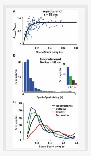 Ca 2 Spark Restitution After B-adrenergic Stimulation - Diagram #5698017