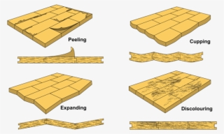 With Safro Flooring From Pvc Ceilings Sa® You Never - Wood Flooring #5698438