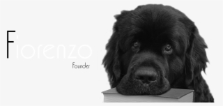 Giant Dog Breed #5699565