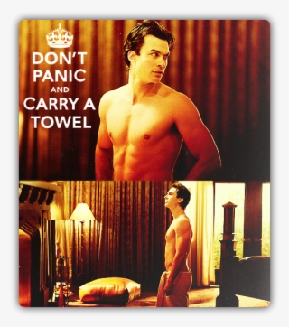 Melhores Frases E Diálogos Da Série The Vampire Diaries - Daimon The Vampire Diaries Frases #5699751