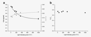 Effects Of Different Light Intensities On Photosynthetic - Absorption Of Eriochrome Black T #570119