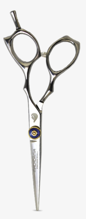 Scissors #570349
