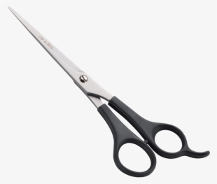 Dog Grooming #570464