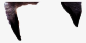 Image Result For Hairstyle Png For Picsart Art Pinterest - Northern Gannet #571261