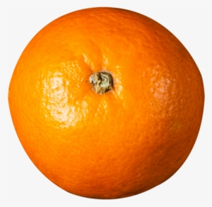 Download Orange Top View Png Image - Orange Top Png #571579