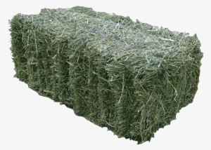 Bales Of Hay From A Farm Or Feed Store Are Incredibly - Prime Lucerne Hay #571725