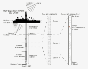 Weighted - Diagram #572206