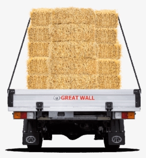 Steed Single Cap Diesel Rear Hay - Cement #572588