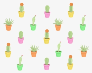 Drawn Cactus Tumblr Transparent - Cactus Pattern #572812