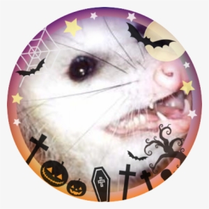 [𝔬𝔪𝔦𝔫𝔬𝔲𝔰 𝔭𝔬𝔰𝔰𝔲𝔪 𝔫𝔬𝔦𝔰𝔢𝔰] - Game Grumps #573606