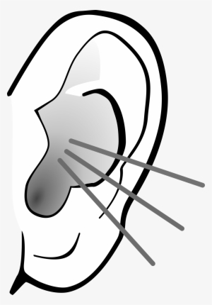 Free Png Listening Ear Transparent Listening Ear - Listening Clipart Png #573631