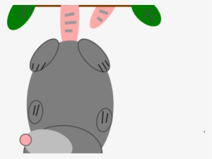 Possum Clipart Vector - Phalangeriformes #574016