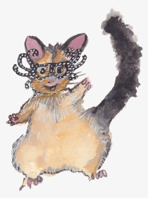 Possum Wearing Dame Edna Glasses - Kitten #574630