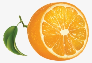 Half Sun Vector Clip Art Royalty Free 1268 Half Sun - Cut Orange Png #575309