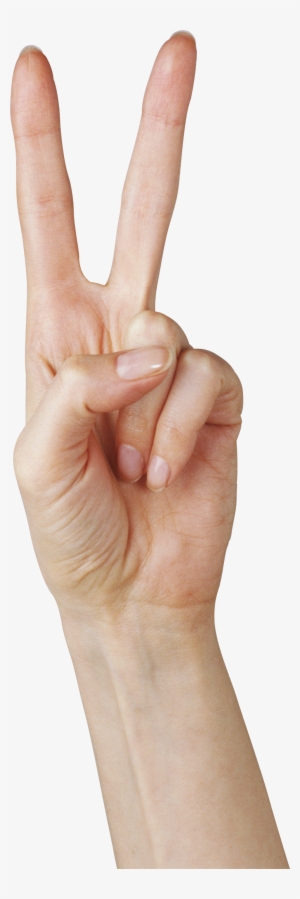Hands Png Free Images - Hand 2 Png #575357