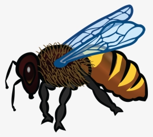 Free Clipart Of A Bee - Clip Art Animals Coloured #579039