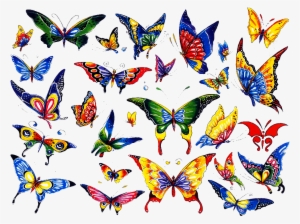 Colorful Butterfly Tattoo Designs - Butterfly Tattoo Coloured #579141