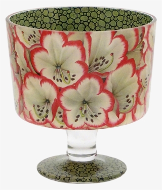 Rhododendron #5700848