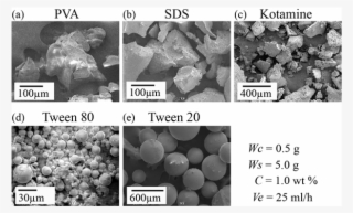 Sem Photographs Of Polymer Composites Particles #5701071