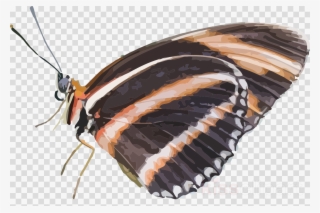 Butterfly Clipart Butterfly Insect Caterpillar - Blaue Schmetterlings-blumen-kunst Mousepads #5702372