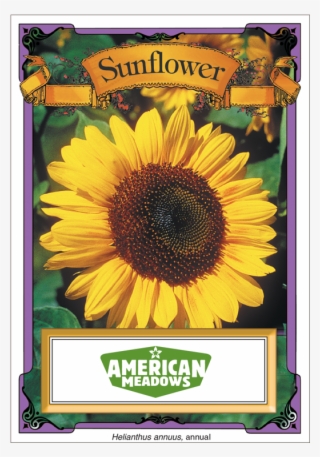Packet Of Flower Seeds #5702485