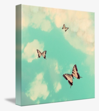 Mkc Photography Butterfly Sky Canvas - Papilio Machaon #5702632
